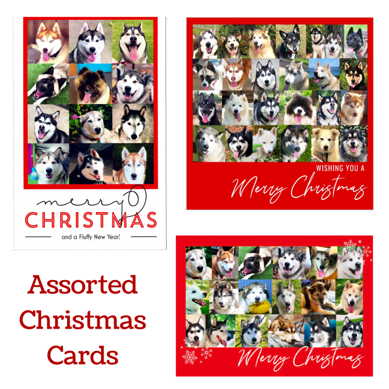 Christmas Cards - Assorted pack of 5 - Arctic Rescue Victoria Inc.