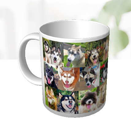 Arctic Rescue Victoria ceramic mug with logo and dog photos