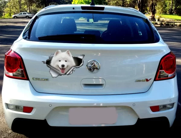 Samoyed car sticker