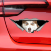 Red Husky car sticker