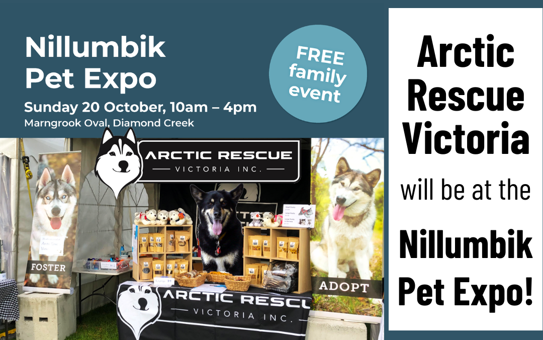 Nillumbik Pet Expo