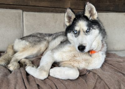 Oska